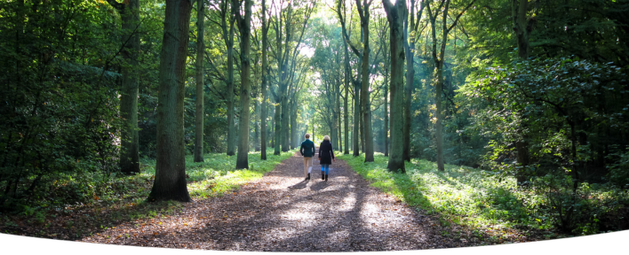 Collega's mindful wandelen in het bos